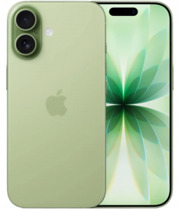 iPhone 17 256 Gb Шалфей (eSIM) (Без Rustore)